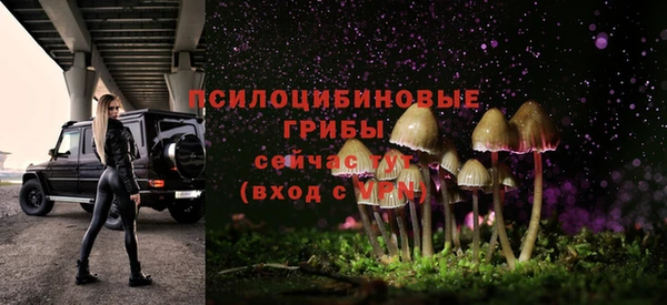 экстази Белокуриха